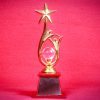 V - TROPHY - 3370 NO 1 - Image 2